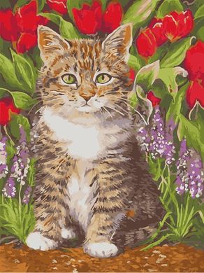 Картина за номерами "Кіт у кольорах" ArtStory полотно на підрамнику 30х40см AS0927 в інтернет-магазині "Я - Picasso"