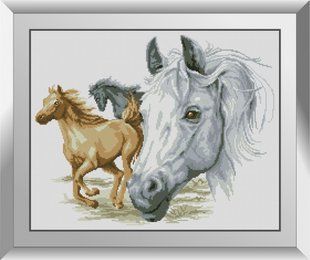 Алмазна мозаїка "Скакун" Dream Art в коробці 31223 в інтернет-магазині "Я - Picasso"