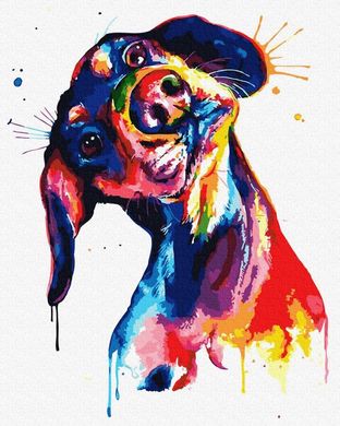 Картина по номерам - Красочный пес в интернет-магазине "Я - Picasso"