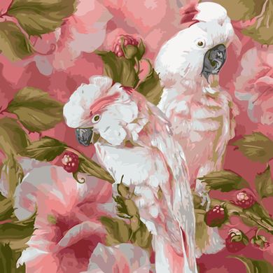 Картина по номерам "білі папуги" ArtStory холст на подрамнике 40x40см AS1075 в інтернет-магазині "Я - Picasso"