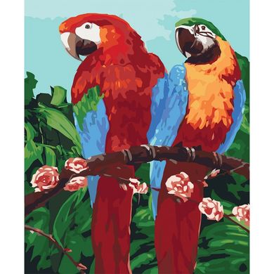 Картина за номерами "Королівські папуги" Ідейка полотно на підрамнику 40x50см КНО4051 в інтернет-магазині "Я - Picasso"