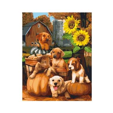 Картина за номерами "Собачки у соняшника" BrushMe полотно на підрамнику 40х50см GX21474 в інтернет-магазині "Я - Picasso"