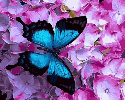 Картина за номерами "Метелик на квітах" BrushMe полотно на підрамнику 40x50см BS21627 в інтернет-магазині "Я - Picasso"