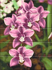 Картина по номерам на дереве "Розовые орхидеи" ArtStory подарочная упаковка 30x40см ASW227 в интернет-магазине "Я - Picasso"