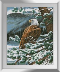 Алмазна мозаїка "Гірський орел" Dream Art в коробці 31106 в інтернет-магазині "Я - Picasso"
