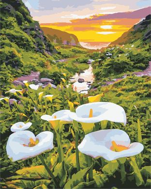 Картина за номерами "Квіти в горах" ArtStory подарункова упаковка 40x50см AS0867 в інтернет-магазині "Я - Picasso"