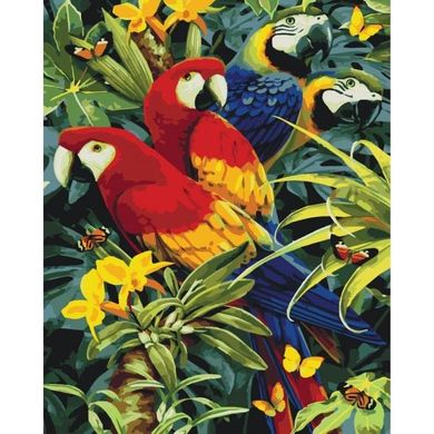 Картина по номерам - Разноцветные попугаи 40х50 в интернет-магазине "Я - Picasso"