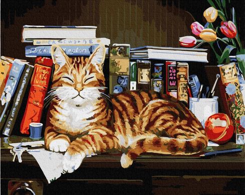 Картина по номерам - Кот на книжной полке 40х50 в интернет-магазине "Я - Picasso"