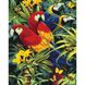 Картина за номерами "Різнобарвні папуги" Ідейка полотно на підрамнику 40x50см КНО4028