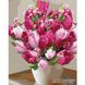 Картина за номерами "Яскраві тюльпани" Ідейка полотно на підрамнику 40х50см КНО3006